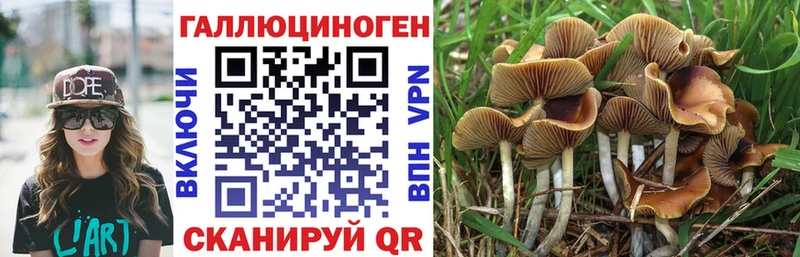магазин продажи   Гуково  Галлюциногенные грибы мухоморы 